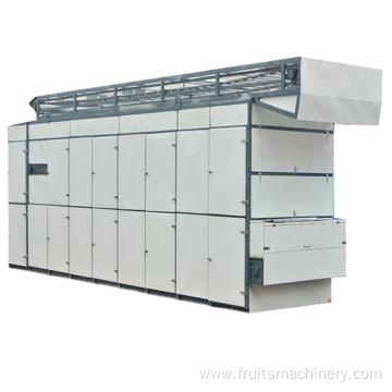 Complete automatic strawberries drying machnie